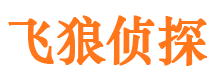 贡井飞狼私家侦探公司